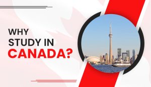 Top 5 Reasons Why You Should Study In Canada 2024